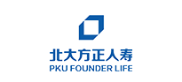 战略合作伙伴C