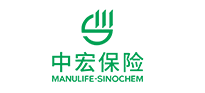战略合作伙伴D